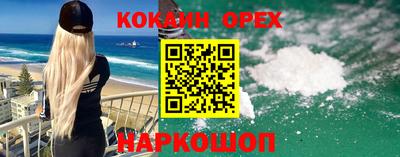 индика Дубна