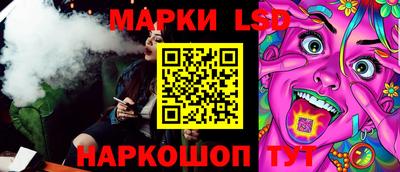 индика Дубна