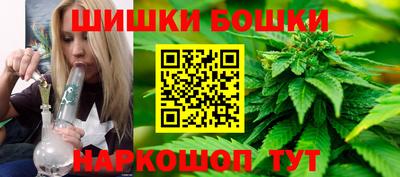 индика Дубна