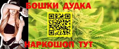 индика Дубна