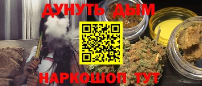 индика Дубна