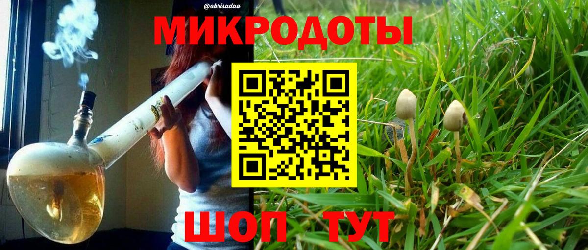 Псилоцибиновые грибы MAGIC MUSHROOMS  Псилоцибиновые грибы MAGIC MUSHROOMS  Вход с VPN  Егорьевск 